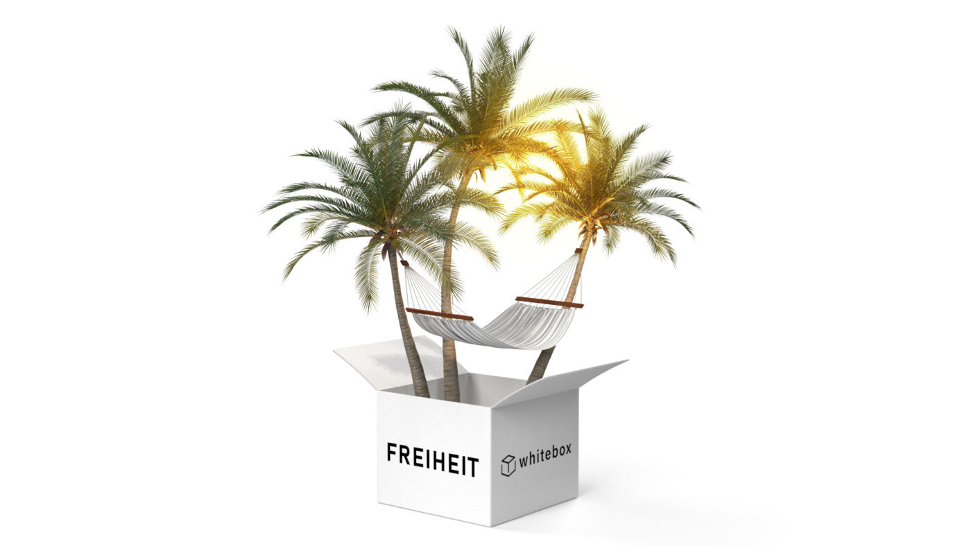 eine weiße Schachtel mit Palmen und Hängematte darin